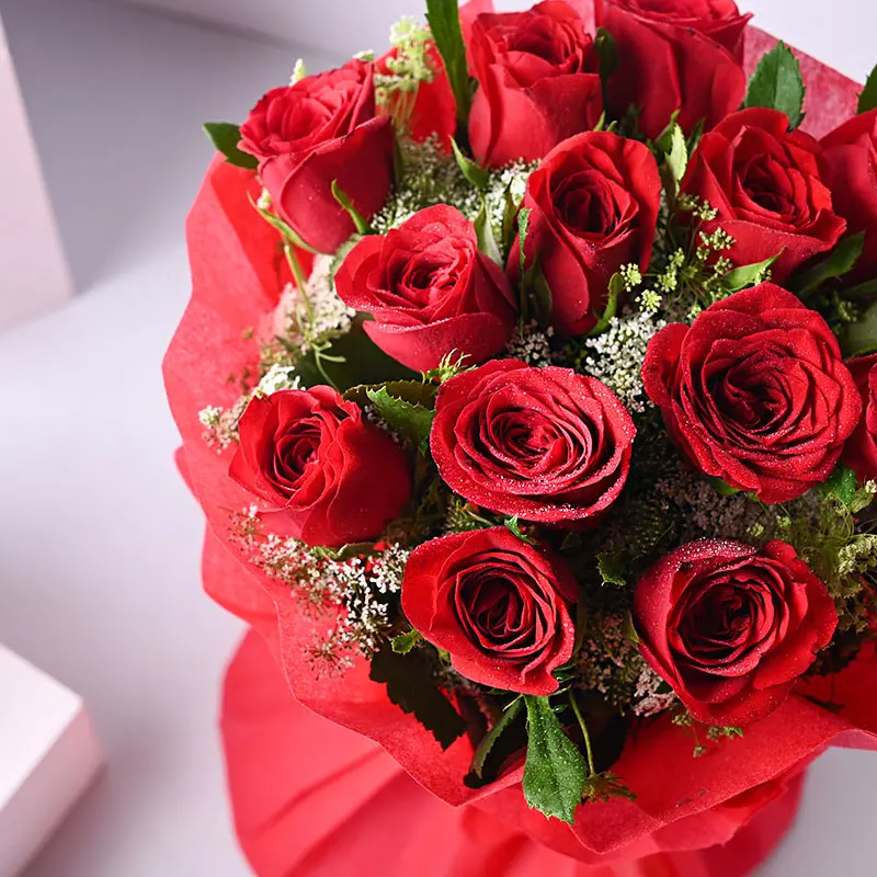 DSC_1227_0.webp
